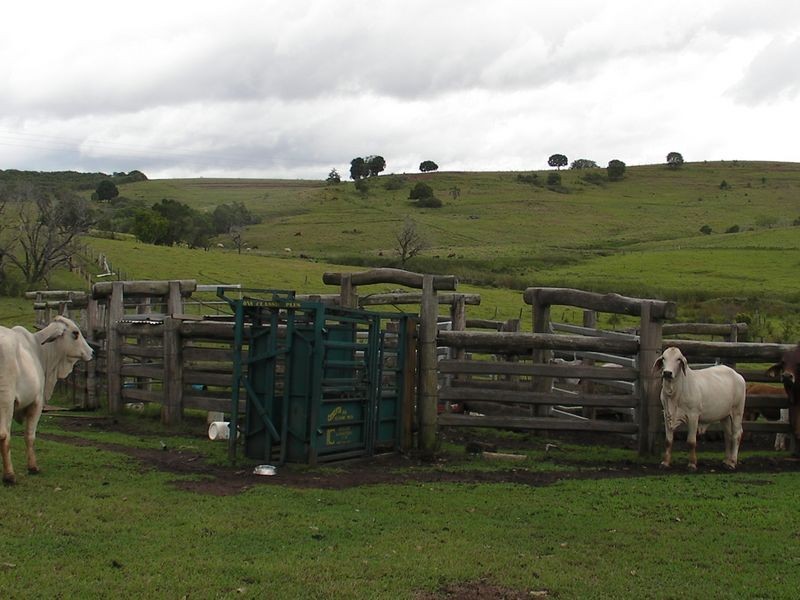 Childers QLD 4660