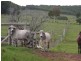 Childers QLD 4660