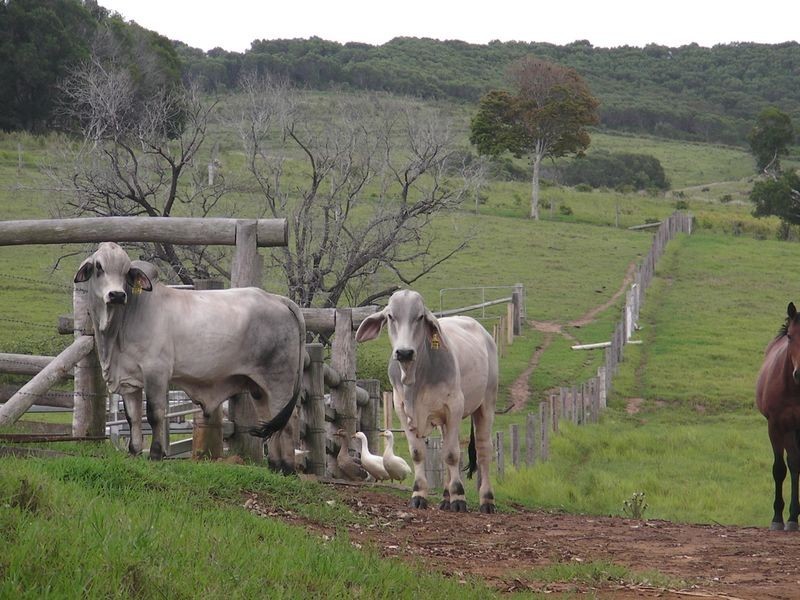 Childers QLD 4660