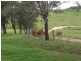 Childers QLD 4660