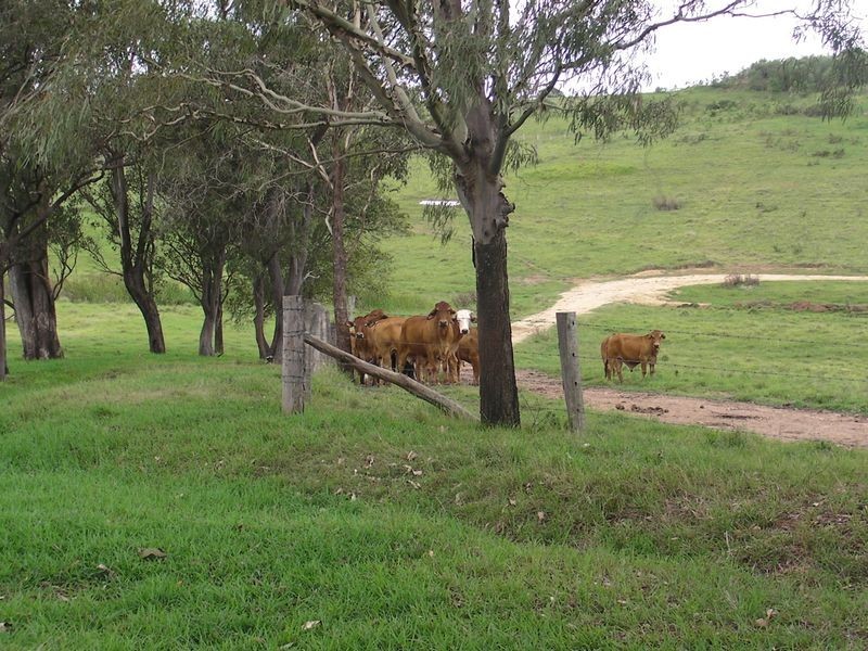 Childers QLD 4660