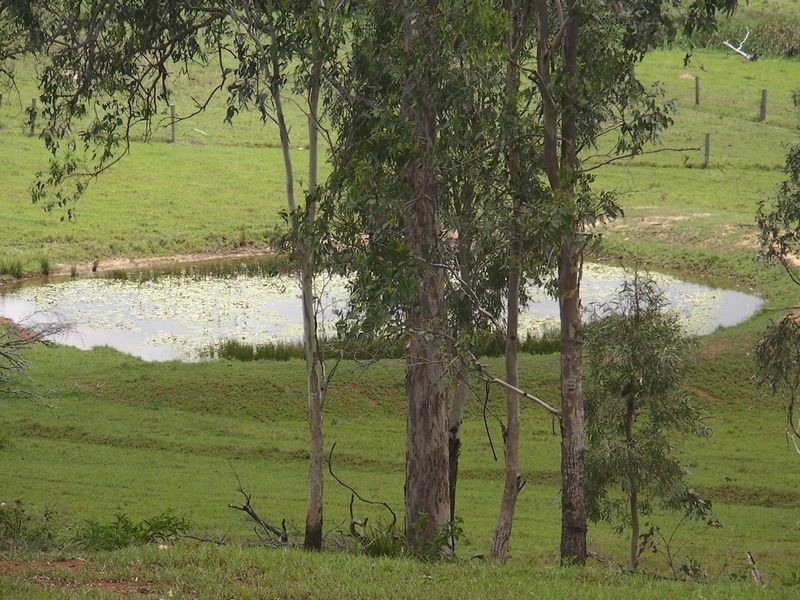 Childers QLD 4660