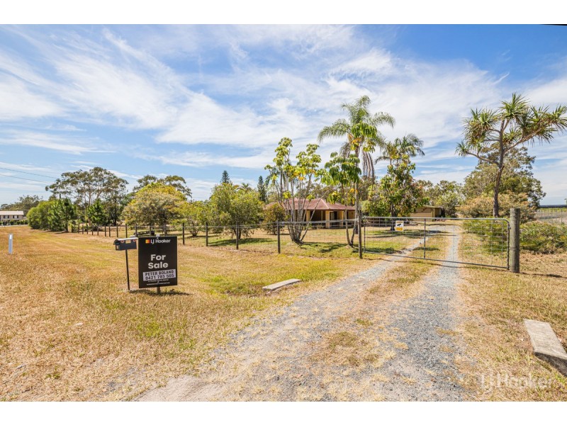 53 Lomond Drive, Ningi QLD 4511