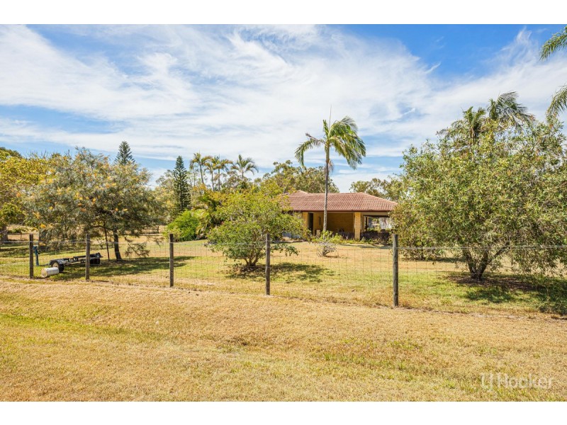 53 Lomond Drive, Ningi QLD 4511
