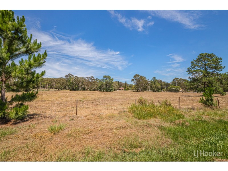 53 Lomond Drive, Ningi QLD 4511