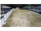 14 Armelie Court, Ningi QLD 4511