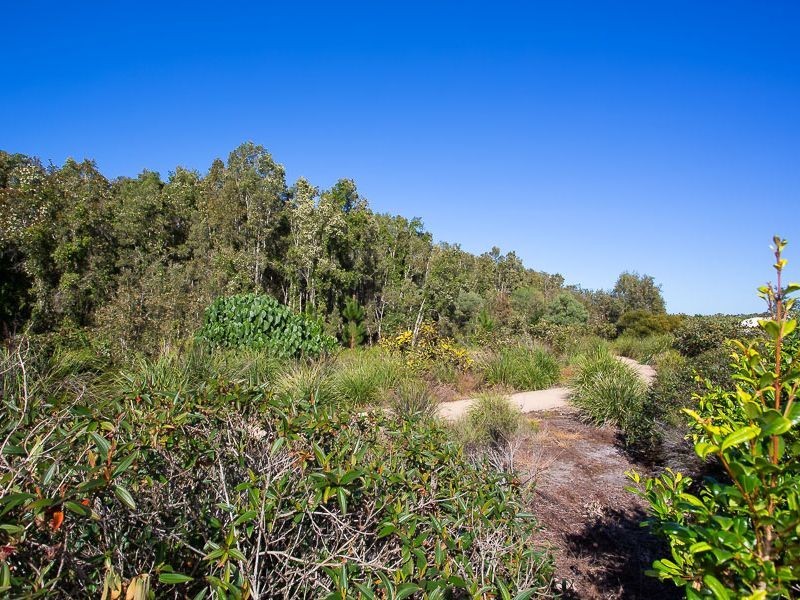 7 Pristine Place, Ningi QLD 4511