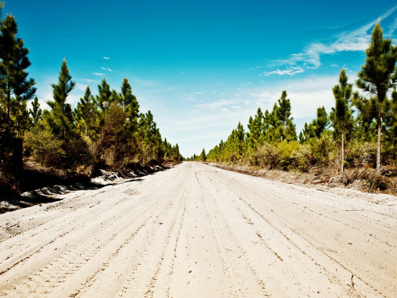 Lot 729/13 Livistona Place, Banksia Beach QLD 4507