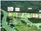 Lot 7 Sydes Court, Ningi QLD 4511