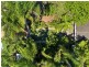 47 Spowers Street, Bongaree QLD 4507