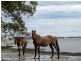 178 White Patch Esplanade, White Patch QLD 4507