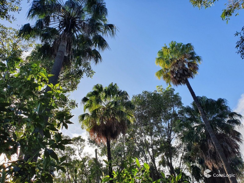 167 Cosmos Avenue, Banksia Beach QLD 4507