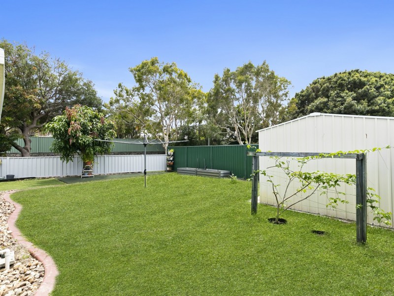 95 Eucalypt street, Bellara QLD 4507