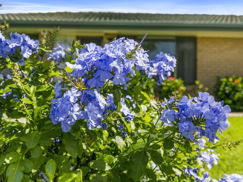 9 Fowler Drive, Caboolture South QLD 4510