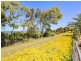 23 Albert Place, Sandstone Point QLD 4511