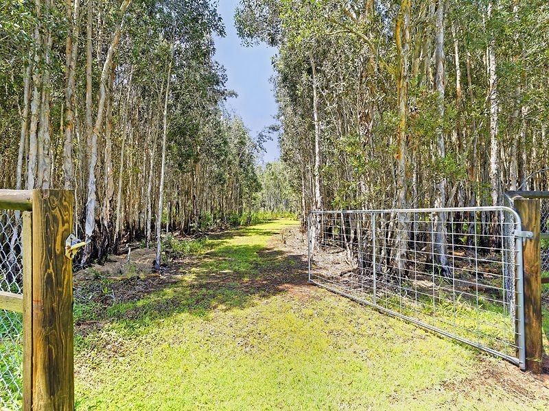 47 Lever Court, Ningi QLD 4511