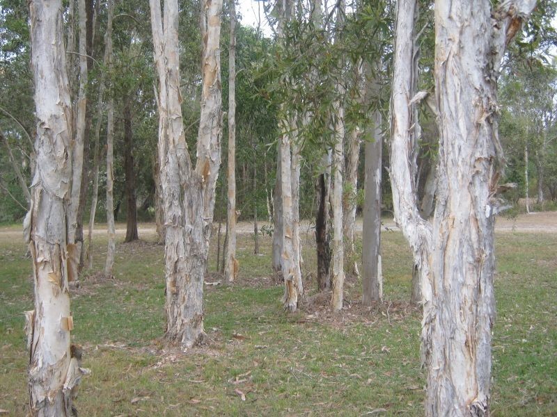 13 Ranald Avenue, Ningi QLD 4511