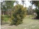 Woorim QLD 4507