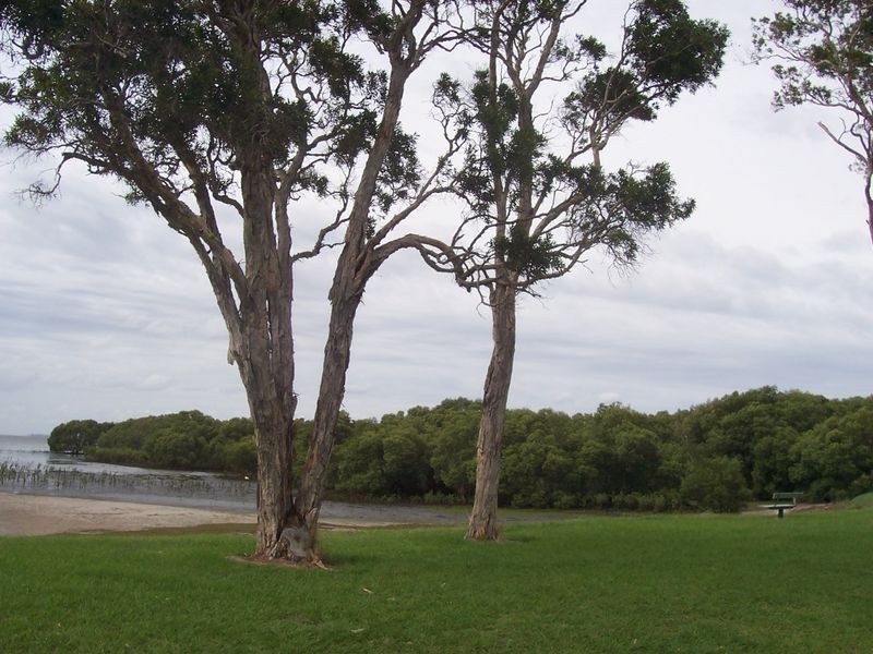 47 Esplanade, Godwin Beach QLD 4511