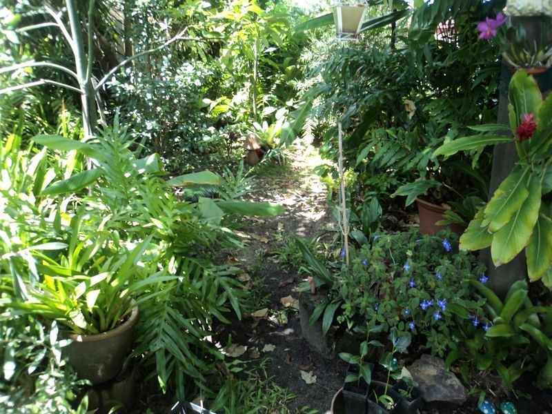 Bribie Island QLD 4507