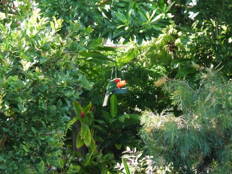 Bribie Island QLD 4507