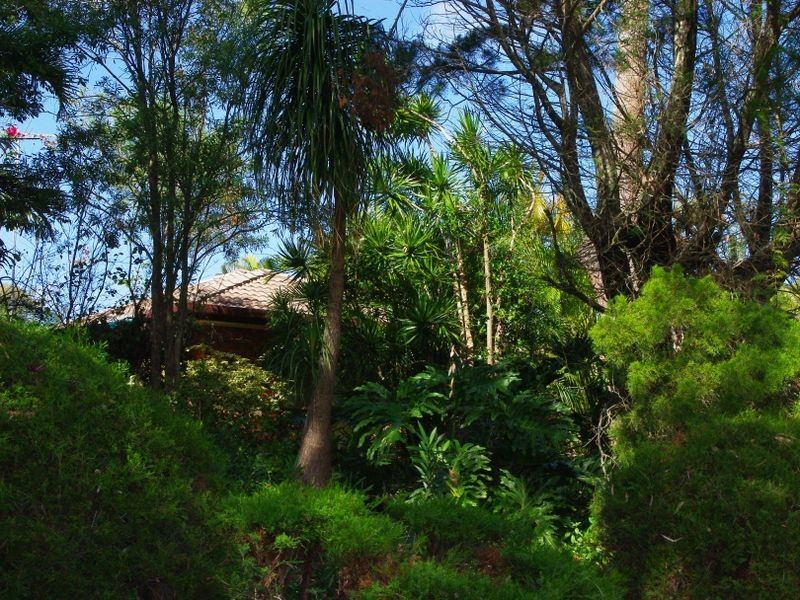 19 Spowers Street, Bongaree QLD 4507