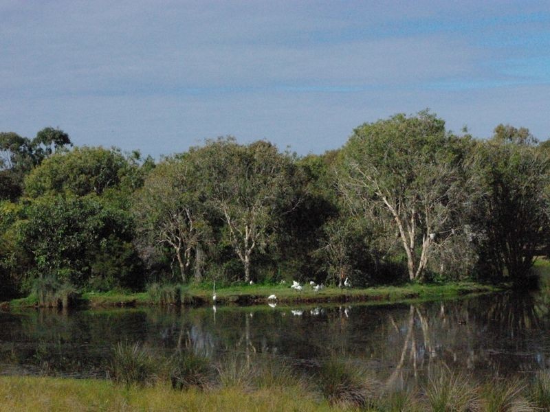 Bellara QLD 4507