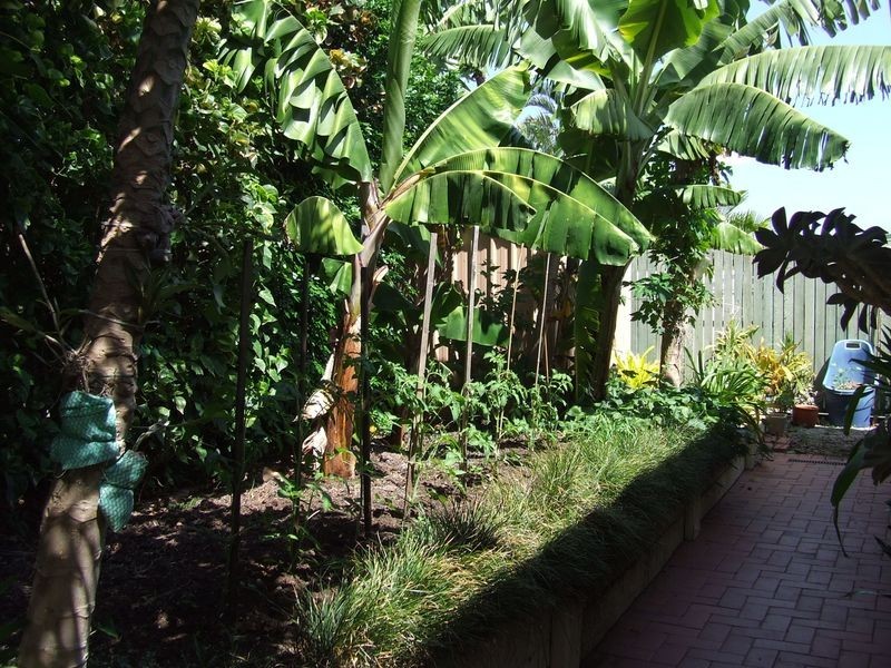 18 Salmon Place, Sandstone Point QLD 4511