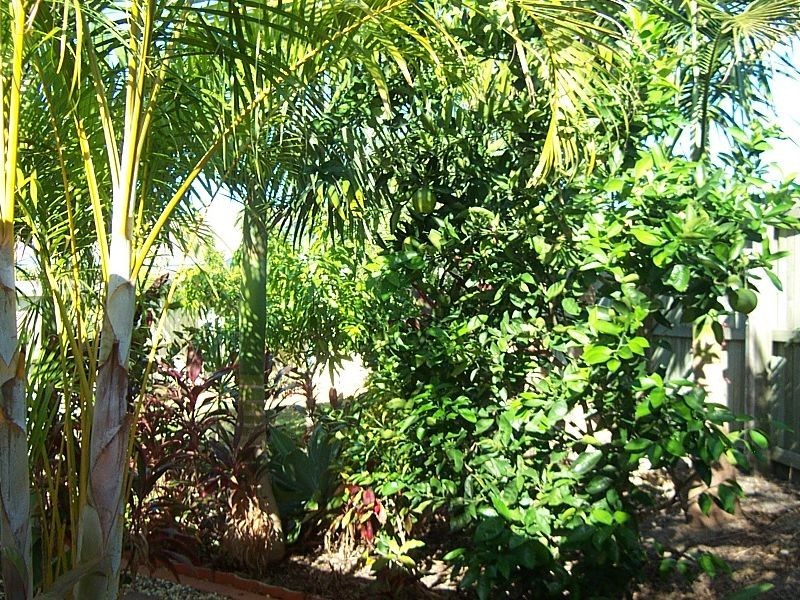 18 Salmon Place, Sandstone Point QLD 4511