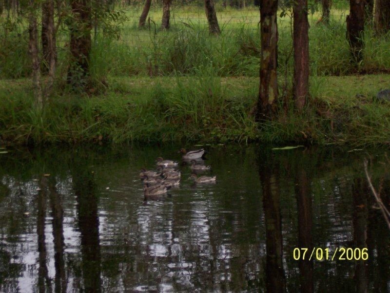 Ningi QLD 4511