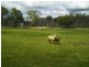 Beachmere QLD 4510