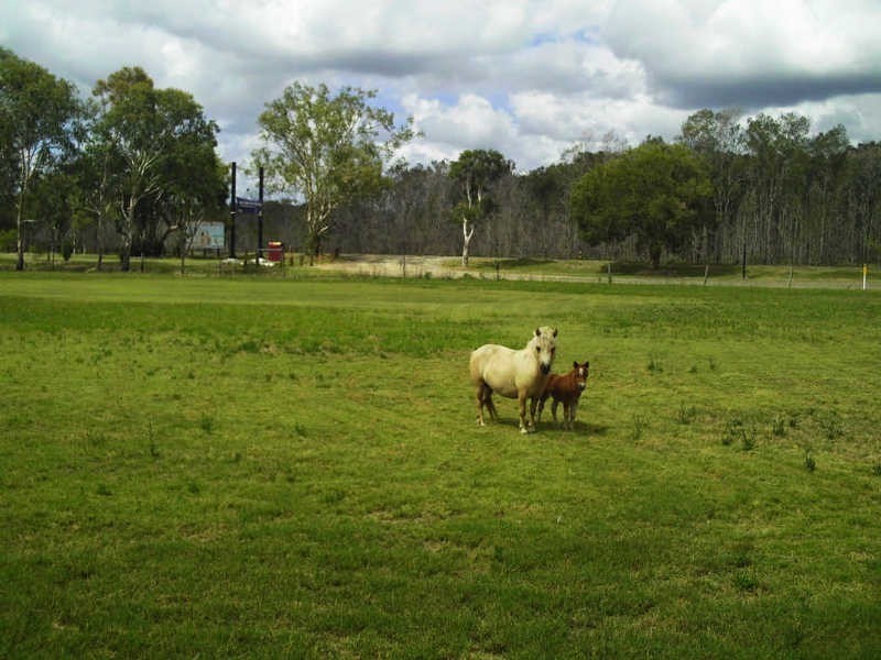 Beachmere QLD 4510