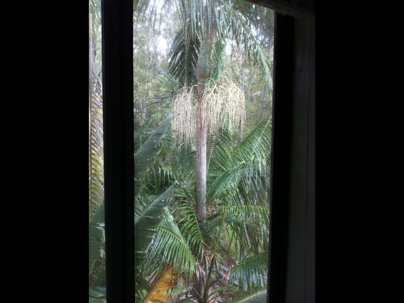 104 Bishop Road, Beachmere QLD 4510