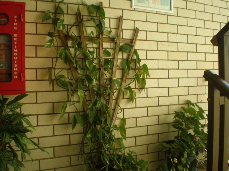 5/13 Palm Avenue, Bongaree QLD 4507