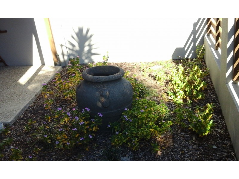 3/40 Pumicestone Street, Bellara QLD 4507