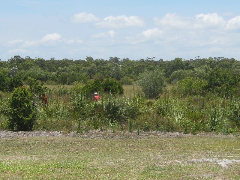 43 Blueberry Street, Bribie Island QLD 4507