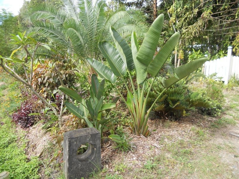 108 Wallace St, Beachmere QLD 4510