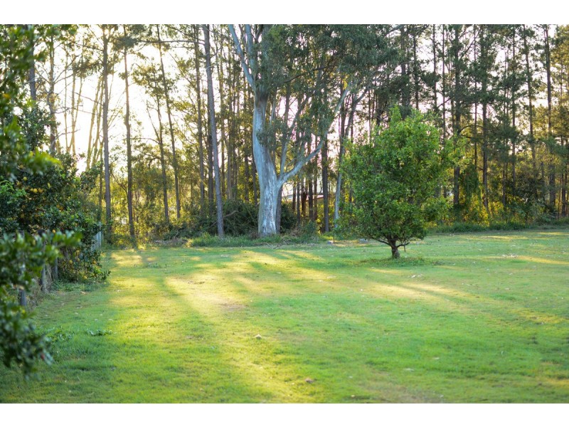 4-6 Greygum Court, Ningi QLD 4511