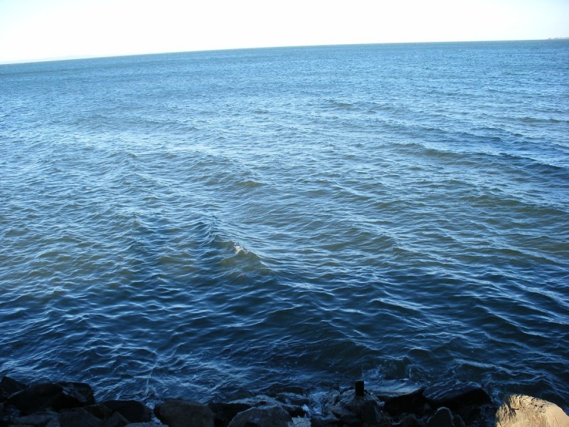 81 Biggs Avenue, Beachmere QLD 4510