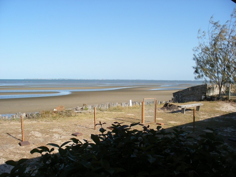 81 Biggs Avenue, Beachmere QLD 4510