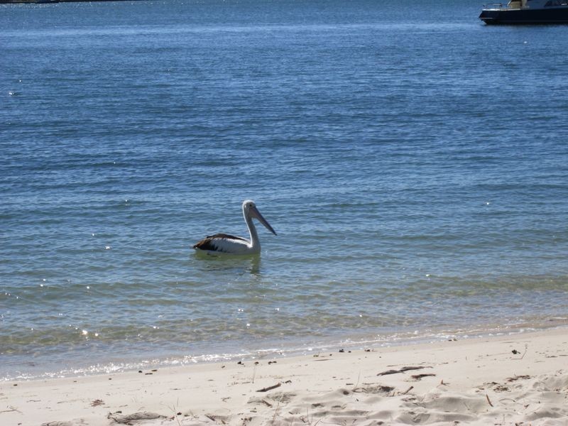 Site 169/1 Kal-Ma-Kuta Drive, Sandstone Point QLD 4511