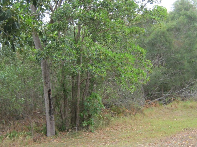 Site 19/40 Jacana Avenue, Woorim QLD 4507