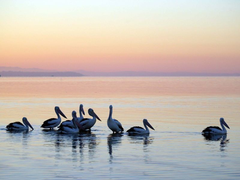 83 The Esplanade, Godwin Beach QLD 4511