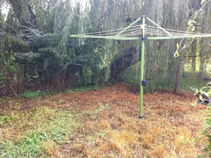 Catherine Field NSW 2557