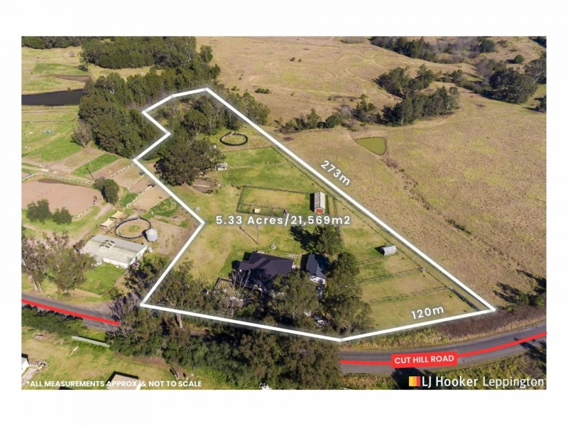 305 Cut Hill Road, Cobbitty NSW 2570
