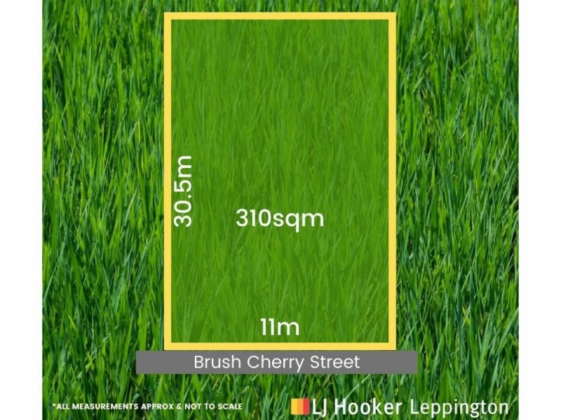 23 Brush Cherry Street, Leppington NSW 2179