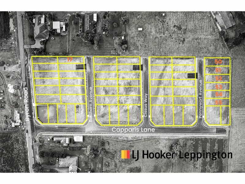 10 (Lot 52 Pennywort Avenue, Leppington NSW 2179