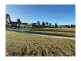 9 Conduit Street, Leppington NSW 2179