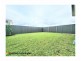 9 Woolly Street, Cobbitty NSW 2570