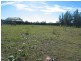 Catherine Field NSW 2557